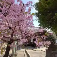 下石原八幡神社(東京都)