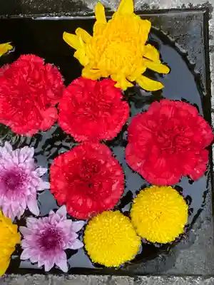 八幡山観音寺の手水舎