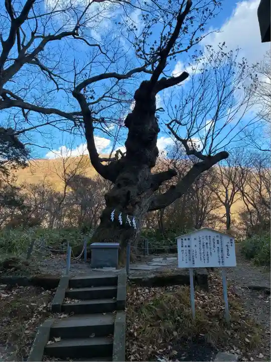 那須温泉神社(栃木県)