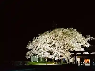 武田廣神社(山梨県)