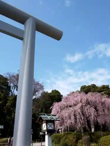 櫻木神社のその他建物