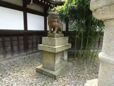 京都乃木神社の狛犬