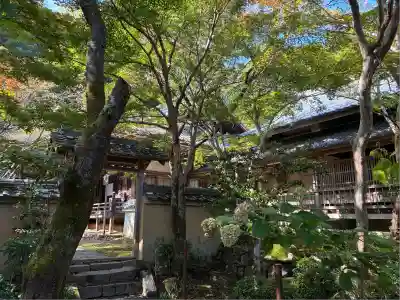 勝持寺（花の寺）(京都府)