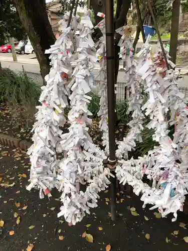 八坂神社のおみくじ