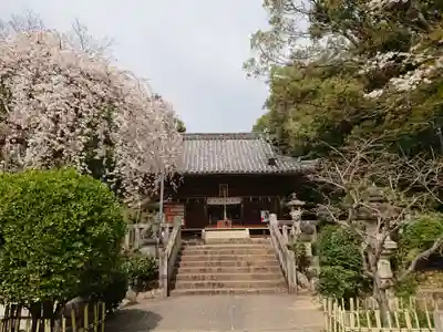 土呂八幡宮の本殿・本堂