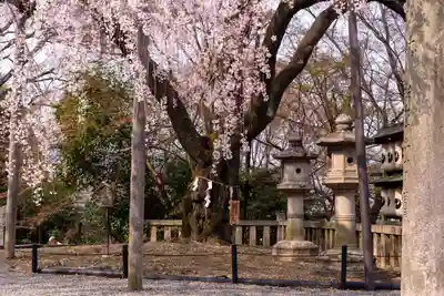 大石神社(京都府)