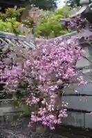 西應寺(滋賀県)