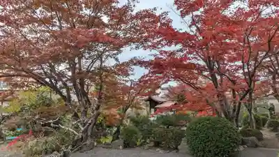 神光院(京都府)