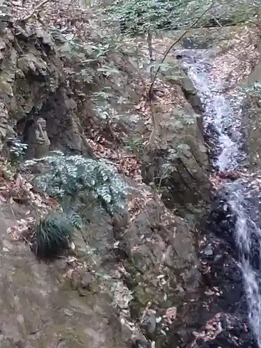 清荒神清澄寺の自然