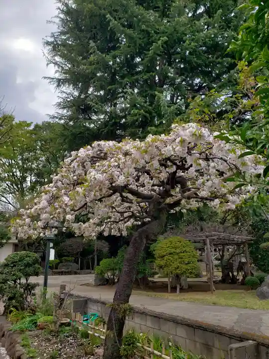 東光寺(東京都)