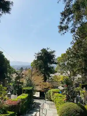 安養寺(京都府)
