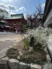 生田神社(兵庫県)