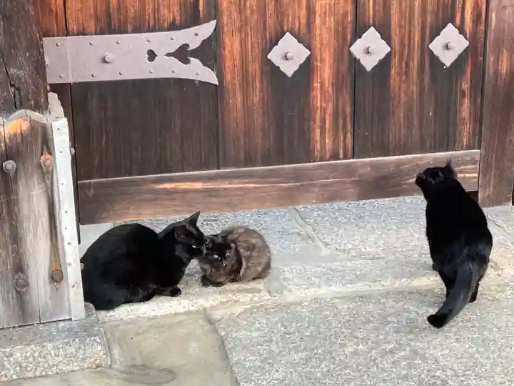 養源院(京都府)