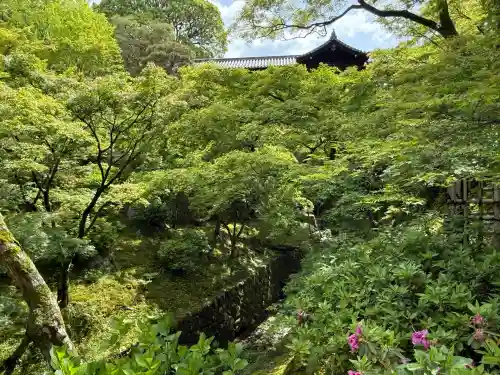 東福禅寺（東福寺）(京都府)
