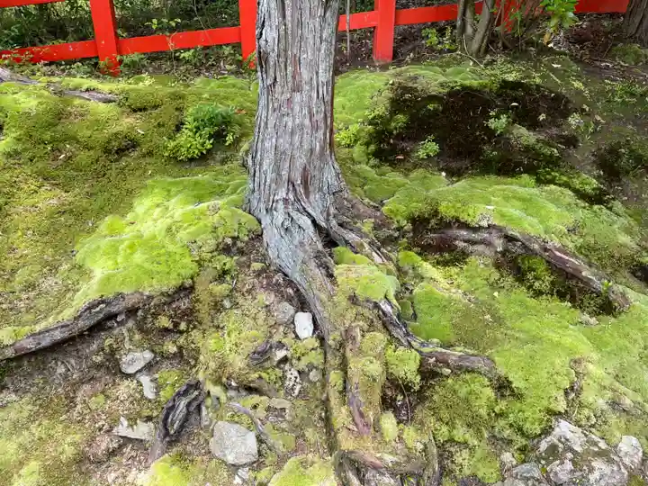 八大神社(京都府)