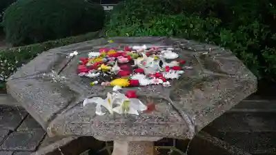 大谷本廟の手水舎