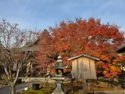 勝林寺(京都府)