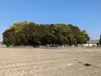 弥富神社の{uncategorized: "未分類", other: "その他", undefined: "問題あり", building: "その他建物", grave: "お墓", sacred_gate: "鳥居", guardian: "狛犬", statue: "像", buddha: "仏像", history: "歴史", nature: "自然", garden: "庭園", animal: "動物", pagoda: "塔", temizu: "手水舎", mountain_gate: "山門・神門", sanctuary: "本殿・本堂", subordinate: "末社・摂社", art: "芸術", scenery: "景色", jizo: "地蔵", ema: "絵馬", goshuin: "御朱印", omikuji: "おみくじ", items: "授与品その他", amulet: "お守り", goshuincho: "御朱印帳", eats: "食事", festival: "お祭り", votive_dance: "神楽", shichigosan: "七五三参", wedding: "結婚式", experience: "体験その他", initially: "初詣", around: "周辺", anti_infection: "感染症対策"}