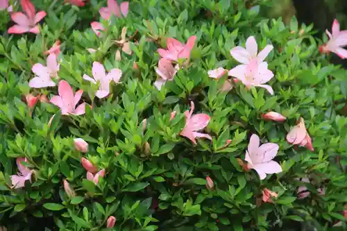 長屋神社の庭園