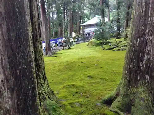 平泉寺白山神社(福井県)