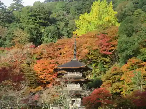 金剛院(京都府)