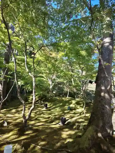 円通院(宮城県)