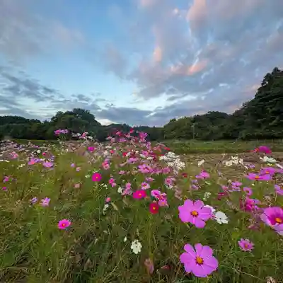 伊勢の国 四天王寺(三重県)