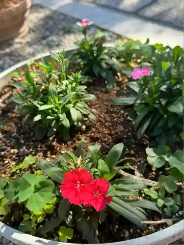 伊久波神社(兵庫県)