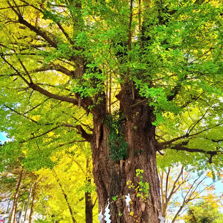 鳩森八幡神社(東京都)