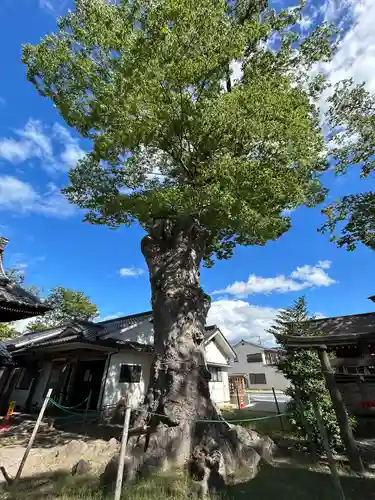 科野大宮社(長野県)
