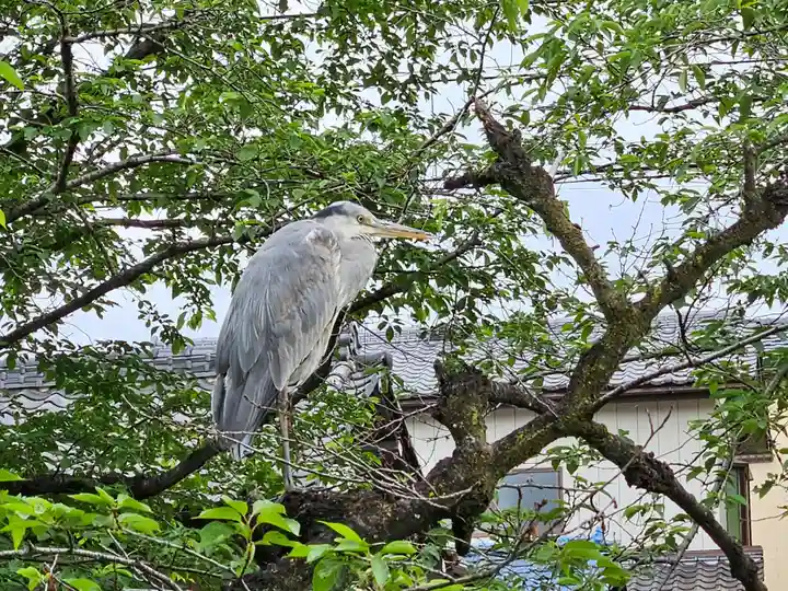 瀧宮神社(埼玉県)