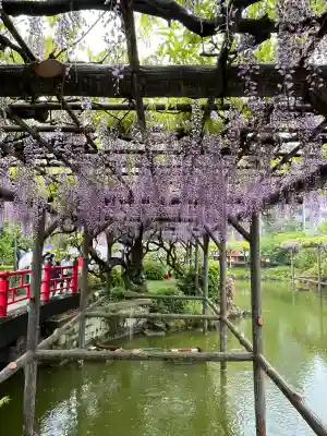 亀戸天神社(東京都)