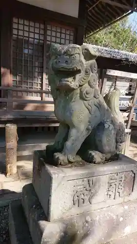 手筒花火発祥の地 吉田神社の狛犬