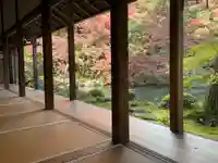 蓮華寺(洛北蓮華寺)の庭園