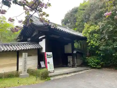 不退寺の{uncategorized: "未分類", other: "その他", undefined: "問題あり", building: "その他建物", grave: "お墓", sacred_gate: "鳥居", guardian: "狛犬", statue: "像", buddha: "仏像", history: "歴史", nature: "自然", garden: "庭園", animal: "動物", pagoda: "塔", temizu: "手水舎", mountain_gate: "山門・神門", sanctuary: "本殿・本堂", subordinate: "末社・摂社", art: "芸術", scenery: "景色", jizo: "地蔵", ema: "絵馬", goshuin: "御朱印", omikuji: "おみくじ", items: "授与品その他", amulet: "お守り", goshuincho: "御朱印帳", eats: "食事", festival: "お祭り", votive_dance: "神楽", shichigosan: "七五三参", wedding: "結婚式", experience: "体験その他", initially: "初詣", around: "周辺", anti_infection: "感染症対策"}