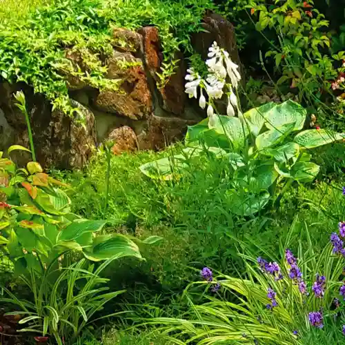 寿量山　速成寺の自然