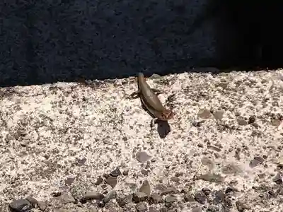 不老神社(福井県)