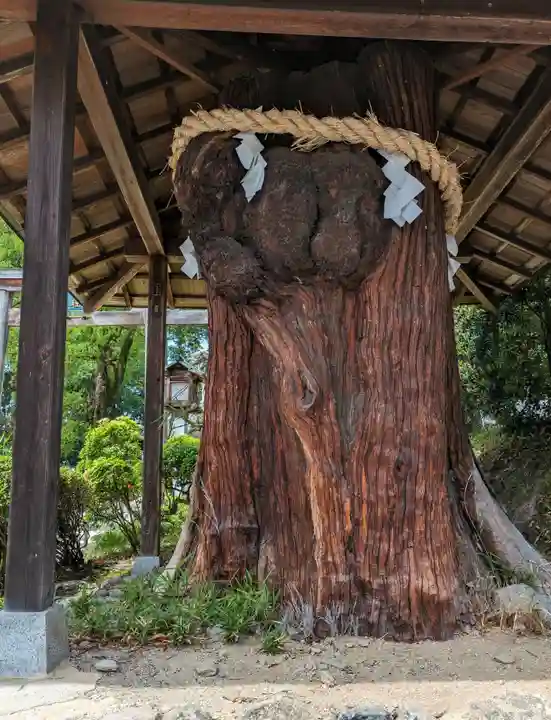 大直禰子神社(奈良県)