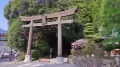 高千穂神社の鳥居