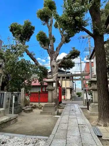 安倍晴明神社（阿倍王子神社境外末社）の鳥居