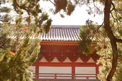 大徳寺(京都府)