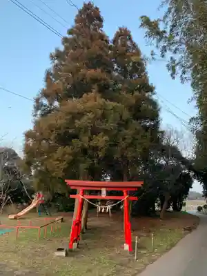 稲荷神社(千葉県)