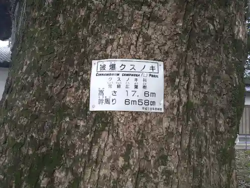 山王神社(長崎県)