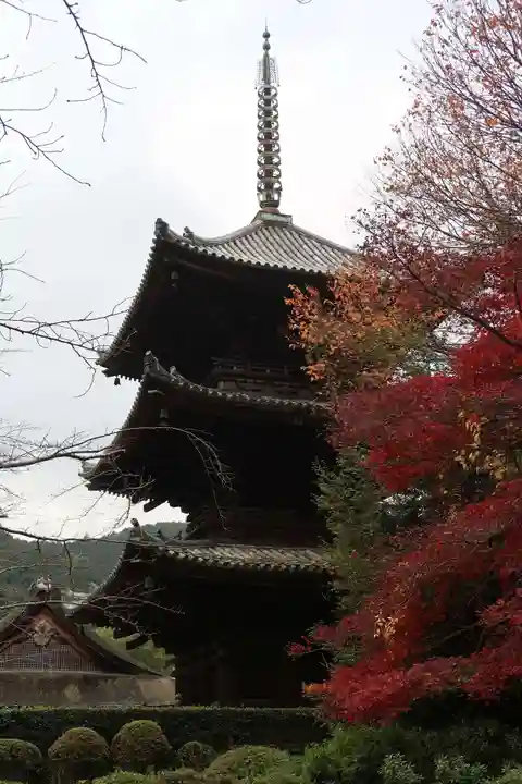 園城寺(三井寺)(滋賀県)