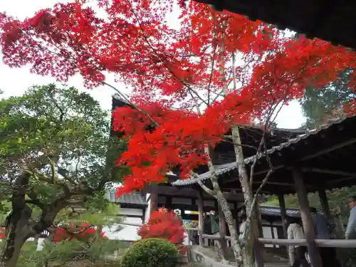 東福禅寺（東福寺）(京都府)