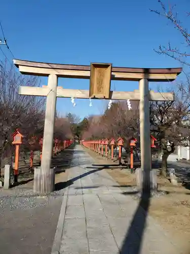 朝日森天満宮(栃木県)