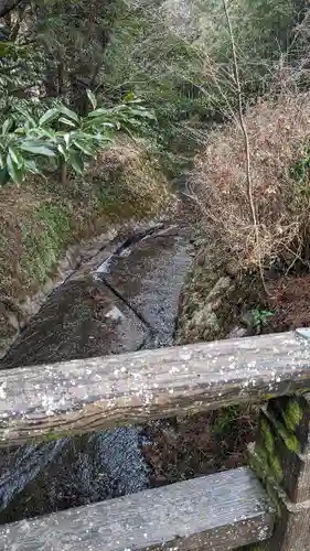 国造神社の自然