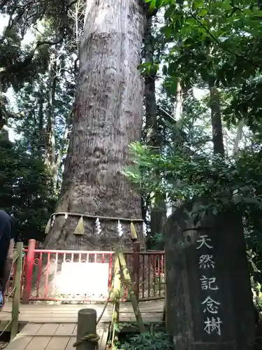 麻賀多神社の自然
