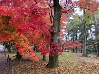 南禅寺(京都府)
