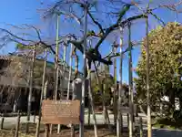 久成寺(静岡県)